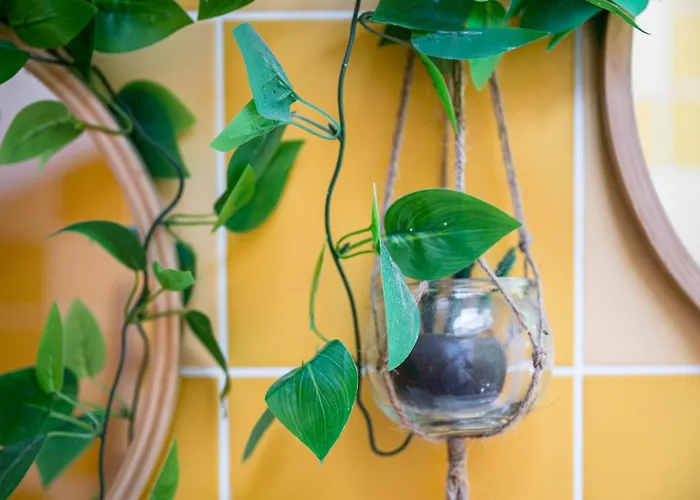 L'écrin De Xattys - De Gamme Avec Spa, Terrain De Pétanque, Piscine Et Baby-foot Casa vacanze *